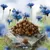 Purizon Single Meat Chicken & Camomile Blossoms