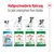 Royal Canin hrana za pse v različnih življenjskih obdobjih: Puppy 2–10 mesecev, Mini Adult 10 mesecev do 8 let, Mini Adult 8+ 8 do 12 let, Mini Ageing 12+ od 12 let.