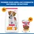 Hill's Science Plan Adult 1-6 Light Medium poulet Hill's Science Plan Adult 1-6 Light Medium poulet