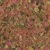 Scaglie multicolore di mangime per pesci, vista ravvicinata del prodotto senza confezione o marchio visibile. Scaglie multicolore di mangime per pesci, vista ravvicinata del prodotto senza confezione o marchio visibile.