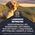 Premium Nutrition Est. 1969. Labrador retriever. Wspiera aktywną naturę i optymalną kondycję ciała. Odpowiedni także dla curly coated retriever, chesapeake bay retriever. Premium Nutrition Est. 1969. Labrador retriever. Wspiera aktywną naturę i optymalną kondycję ciała. Odpowiedni także dla curly coated retriever, chesapeake bay retriever.