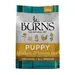 Burns Puppy Original - Chicken & Rice - 6kg