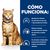 Hill's c/d Prescription Diet Multicare Urinary Care sobres para gatos