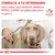 CONSULTA A TU VETERINARIO para saber qué alimento dietético ROYAL CANIN es adecuado para tu perro. VETERINARY NUTRITION. Imagen de veterinario auscultando a un perro.