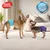 Pannolini lavabili Simple Solution per cani femmina