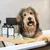 Kooa dog shampoo in two bottles, presented on a bamboo tray with a green grooming comb.