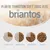 Plan de transition sur 7 jours vers briantos : Jours 1 à 2, Jours 3 à 4, Jours 5 à 6, Jours 7, avec illustrations de proportions de croquettes pour chaque étape.