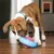 Dog playing with an interactive toy that dispenses treats. Blue-pink design on wooden floor.