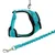Turquoise harness with black padding and matching elastic lead, metal carabiner hook visible.