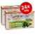 Feringa Classic Meat Kitten multipack, 24 x 85g. Flavours shown: poultry with potatoes and dandelion, chicken and trout with pumpkin and dandelion, turkey with rabbit, salmon and turkey.