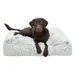 Cuscino Trixie Harvey, quadrato - L 140 x P 90 x H 35 cm