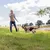 Person använder lång leksakspinne med rep och tygbit för att aktivera en mellanstor hund utomhus på gräsfält. Hunden bär sele och ser fokuserad ut på leksaken.