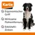 Peigne à puces Karlie Professional avec poignée pour chien et chat