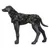 Dog coat in camouflage colours on a black dog mannequin, with adjustable fastening and neck cover.