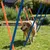 Hund läuft durch einen Parcours aus abwechselnd orange und blau gefärbten Stangen auf einer Wiese.