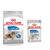 Maxi Light Weight Care (12kg) + Light Weight Care Loaf (12 x 85g)