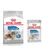 Maxi Light Weight Care (12 kg) + Light Weight Care Mousse (12 x 85 g)