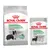Royal Canin Medium Digestive Care + 12 x 85 g comida húmeda: ¡con descuento! - Medium Digestive Care (3 kg) + Digestive Care Mousse (12 x 85 g) Royal Canin Medium Digestive Care + 12 x 85 g comida húmeda: ¡con descuento! - Medium Digestive Care (3 kg) + Digestive Care Mousse (12 x 85 g)