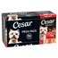 Vaničky Megapack Cesar 96 x 150 g - Classic Terrine