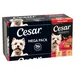 Megapack Cesar Schale 24 x 150 g - Classic Terrine