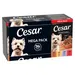 Megapack Cesar Schale 24 x 150 g - Landragout