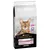 Purina Pro Plan Adult 1+ Delicate Digestion mit Truthahn. Fördert die Verdauungsgesundheit von Katzen. Keine zugesetzten Farbstoffe oder Aromen. ISFM zertifiziert.