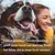 Fokker Premium dog food offers your dog the best from start to finish.