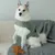 Hund trägt eine hellgrüne Weste und sitzt auf einem Sofa neben einem braunen Stoffspielzeug in Bärenform. Hund trägt eine hellgrüne Weste und sitzt auf einem Sofa neben einem braunen Stoffspielzeug in Bärenform.