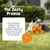 Zesty Paws Skin & Coat Salmon Oil Formula - 250ml Zesty Paws Skin & Coat Salmon Oil Formula - 250ml