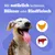 Pedigree Dentastix Daily Oral Care pour chien - 28 friandises Medium pour chien de taille moyenne (10 - 25 kg)