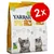 Lot de 2 sacs Yarrah Adult Cat Food BIO, protéines 30 %, matières grasses 14 %, poulet, emballage recyclable, labels écologiques visibles sur le devant du paquet. Lot de 2 sacs Yarrah Adult Cat Food BIO, protéines 30 %, matières grasses 14 %, poulet, emballage recyclable, labels écologiques visibles sur le devant du paquet.