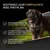 Pro Plan soutient les grands chiens robustes grâce à un équilibre optimal entre protéines et matières grasses, à la vitamine D, aux minéraux et aux acides gras oméga-3 pour une musculature forte. Pro Plan soutient les grands chiens robustes grâce à un équilibre optimal entre protéines et matières grasses, à la vitamine D, aux minéraux et aux acides gras oméga-3 pour une musculature forte.