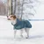 Hund trägt blauen Mantel mit sichtbarem Markenaufdruck 'Rukka' im Schnee. Hund trägt blauen Mantel mit sichtbarem Markenaufdruck 'Rukka' im Schnee.