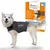 ThunderShirt calming vest for dogs. Ideal for stress from loud noises, travel or vet visits. Gentle method, easy to use, reduces stress by over 80%.