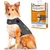 Chien portant un gilet ThunderShirt gris, à côté de l’emballage : Solution efficace pour relaxer les chiens stressés, taille L >18–29 kg, méthode douce, facile à utiliser.