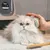 Long-haired cat being groomed with a brush, wooden comb next to it. Pet grooming accessories visible.