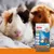 Beaphar Care+ guinea pig food, 21% protein, 0% added sugar, vitamin C, dental care. Packaging with image of two guinea pigs.