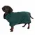 Dog wearing green coat with black trim and kooa logo. Product shows dog clothing.