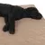 Black dog lying on a beige padded mat with quilted pattern.