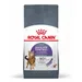 Royal Canin Feline -säästöpakkaus - 2 x 10 kg FCN Appetite Control Care