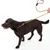TIAKI Retrieverlijn Twist