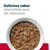 Delicioso sabor irresistible para las mascotas. Plato con trozos de comida húmeda, zanahoria y arroz visibles.