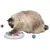 Trixie Cat Activity Flip Board