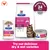 Hill's Prescription Diet Feline Gastrointestinal Biome - Chicken - 12 x 85g Hill's Prescription Diet Feline Gastrointestinal Biome - Chicken - 12 x 85g
