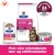 Hill's Prescription Diet Gastrointestinal Biome med kylling Hill's Prescription Diet Gastrointestinal Biome med kylling