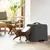 Cat litter box with side entrance, dark grey, cat leaving the litter box in a modern living space.