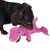 Hund leger med lyserødt dinosaur-plyslegetøj. Legetøj af ribbet stof med synlige tænder og øjne.