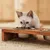 Kleine Katze frisst aus erhöhtem Holzfutternapf mit zwei Edelstahlschalen, geeignet für komfortables Fressen.