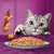 Assiette de nourriture humide pour chat avec morceaux de viande et carottes en sauce, chat gris tigré regardant la nourriture, fond violet.