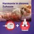 FELIWAY Friends FELIWAY Friends